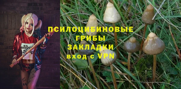 стафф Осинники
