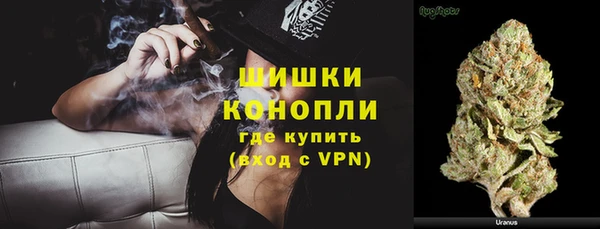 ПСИЛОЦИБИНОВЫЕ ГРИБЫ Няндома