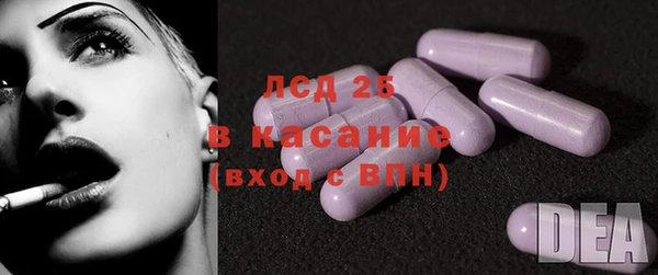 ПСИЛОЦИБИНОВЫЕ ГРИБЫ Няндома