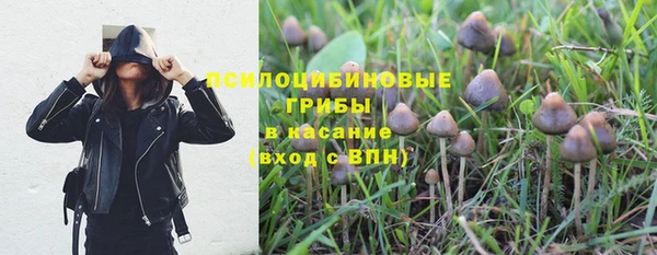 стафф Осинники