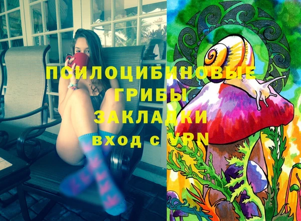 ПСИЛОЦИБИНОВЫЕ ГРИБЫ Няндома