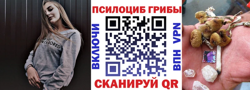 дарнет шоп  Санкт-Петербург  Псилоцибиновые грибы Psilocybine cubensis 