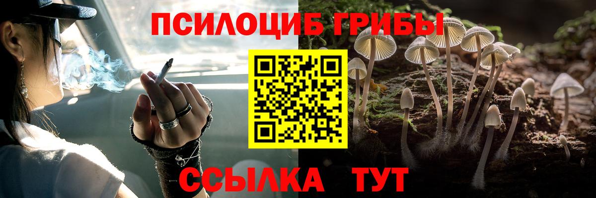 Санкт-Петербург  Псилоцибиновые грибы Cubensis  Галлюциногенные грибы GOLDEN TEACHER  Вход с VPN 