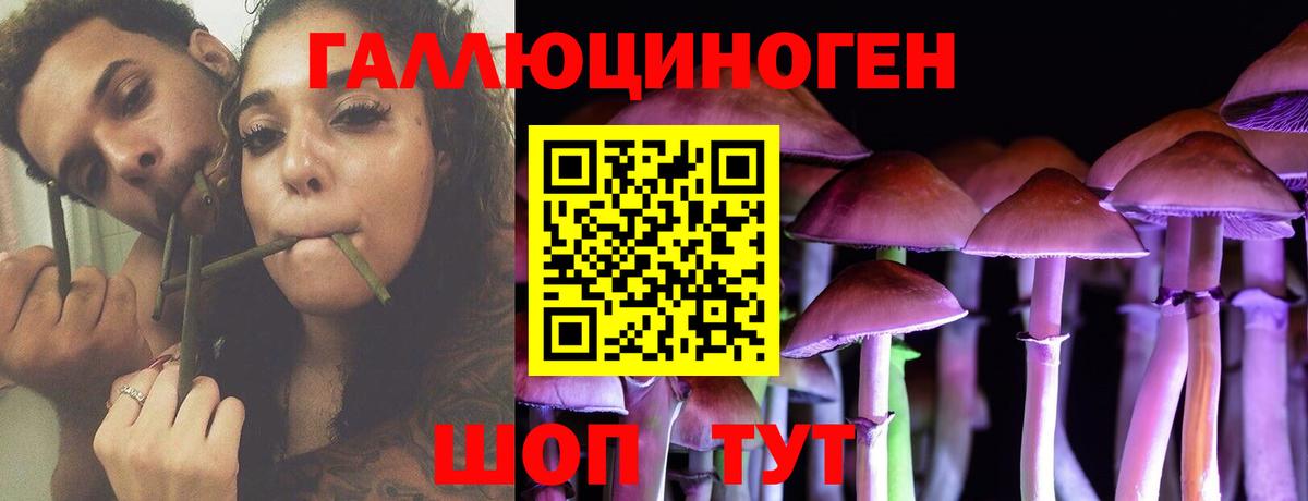 Галлюциногенные грибы Cubensis  Санкт-Петербург  Галлюциногенные грибы Cubensis 