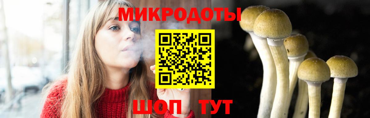 Галлюциногенные грибы GOLDEN TEACHER Санкт-Петербург
