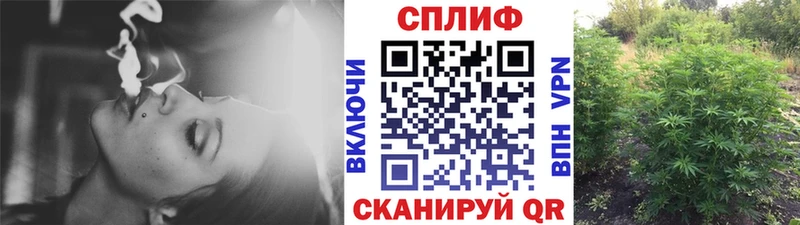 Бошки марихуана план  как найти   Санкт-Петербург 